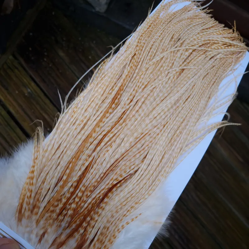 Whiting Heritage Hackles Rooster Saddle in Mixed Colours E Barred Blonde/ Light Ginger Barred Blonde/ Medium Ginger Barred Blonde Tying approx size 12/14/16 /18 with a few going smaller-3