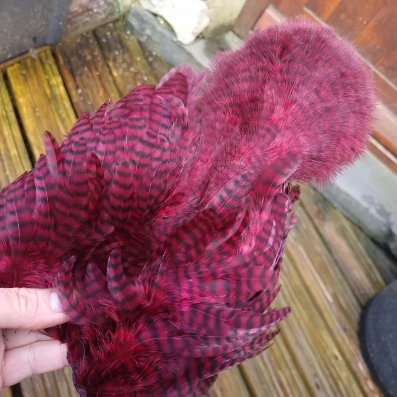 Whiting Rooster Soft Hackle with Chickabou in Grizzly Dyed Claret-6