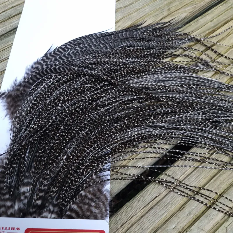 Whiting Pro-Grade Midge Rooster Saddle in Grizzly Variant A in VERY DARK GRIZZLY  Approx Tying Sizes 14/16/18/20-1