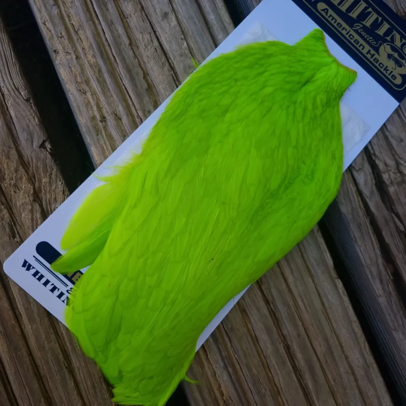 Whiting American Hen Cape in Fl.Green Chartreuse