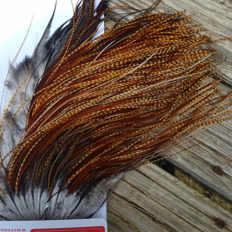 Whiting Pro-Grade Midge Rooster Saddle in Barred Dark Ginger A Approx Tying Sizes 16 18 20 22  24 26 and out of sight-2
