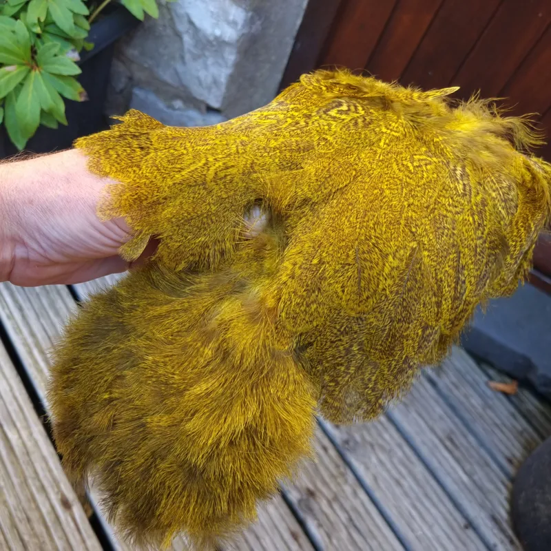 Whiting Coq de Leon Hen Soft Hackle with Chickabou in Speckled Yellow-1