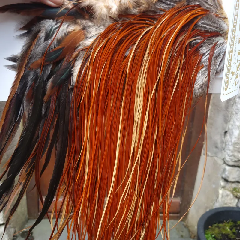 Whiting Heritage Hackles Rooster Saddle in Mixed Colours A Medium to Dark Red Game Approx Tying Sizes 12/14/16/18-1