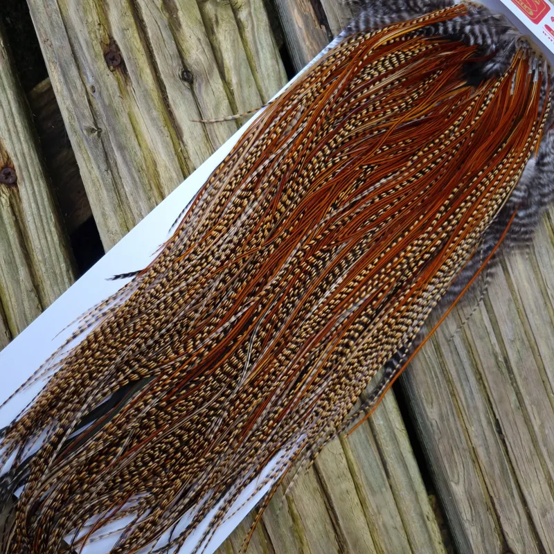 Whiting Bronze Grade Midge Rooster Saddle in CREE A Approx Tying Sizes 14/16/18 you might find a few going smaller-5