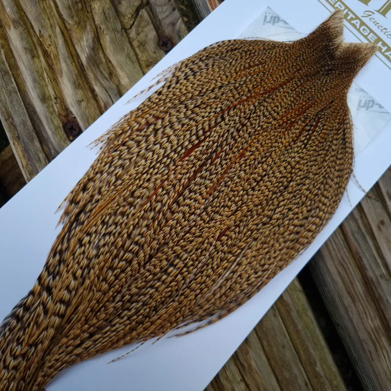 Whiting Heritage Hackles Rooster Cape in Mixed Colours Classic/Golden CREE  A -4