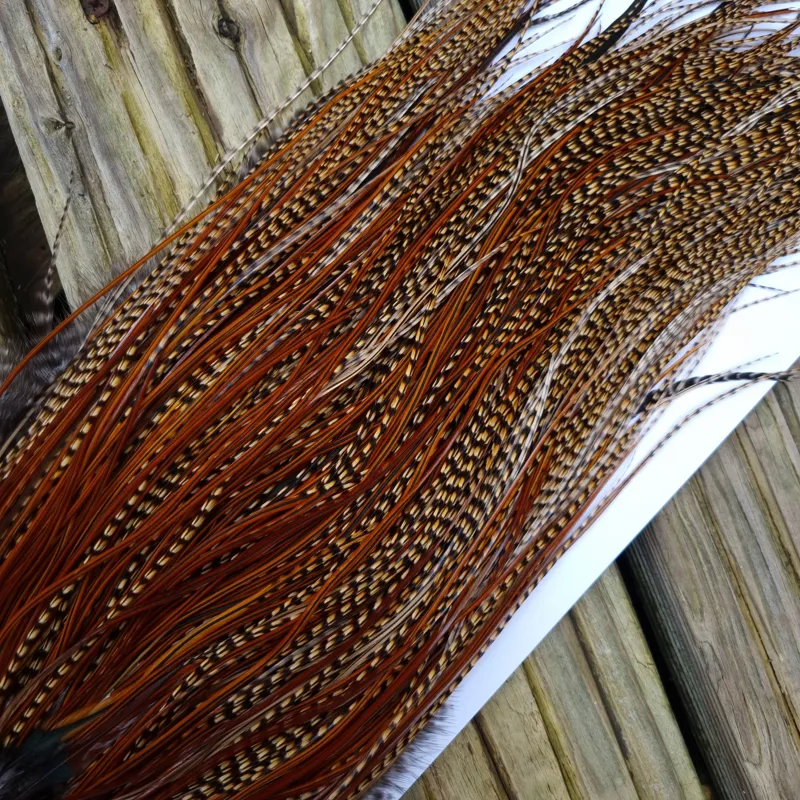 Whiting Bronze Grade Midge Rooster Saddle in CREE A Approx Tying Sizes 14/16/18 you might find a few going smaller-7