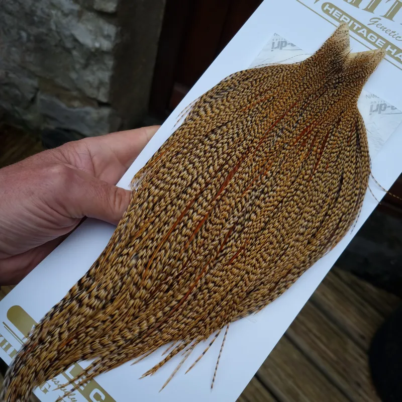 Whiting Heritage Hackles Rooster Cape in Mixed Colours Classic/Golden CREE  A 