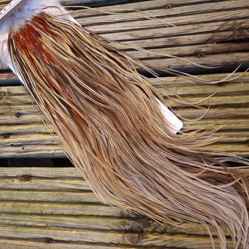 Whiting Heritage Hackles Rooster Saddle in Mixed Colours A Champagne Badger/Speckled Champagne Badger/Rusty Dun/Speckled Natural Dun Approx Tying Sizes odd 10 stuffed with12/14 and the odd 16-6