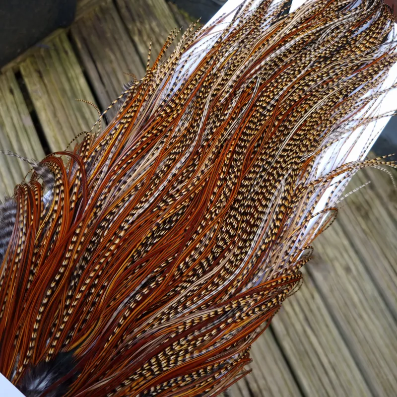 Whiting Bronze Grade Midge Rooster Saddle in CREE A Approx Tying Sizes 14/16/18 you might find a few going smaller-9