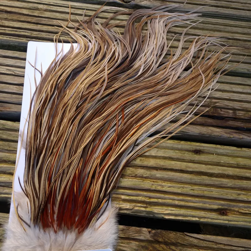 Whiting Heritage Hackles Rooster Saddle in Mixed Colours A Champagne Badger/Speckled Champagne Badger/Rusty Dun/Speckled Natural Dun Approx Tying Sizes odd 10 stuffed with12/14 and the odd 16-8