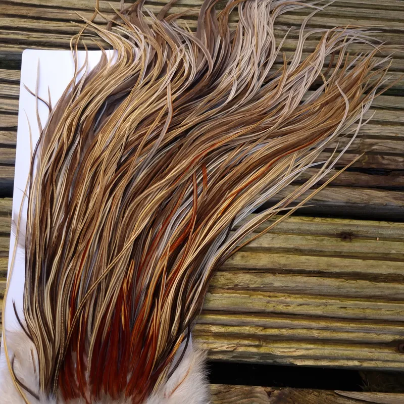 Whiting Heritage Hackles Rooster Saddle in Mixed Colours A Champagne Badger/Speckled Champagne Badger/Rusty Dun/Speckled Natural Dun Approx Tying Sizes odd 10 stuffed with12/14 and the odd 16-9