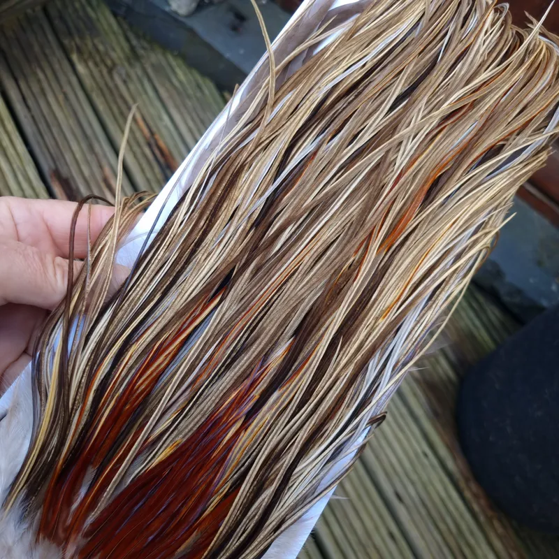 Whiting Heritage Hackles Rooster Saddle in Mixed Colours A Champagne Badger/Speckled Champagne Badger/Rusty Dun/Speckled Natural Dun Approx Tying Sizes odd 10 stuffed with12/14 and the odd 16-10