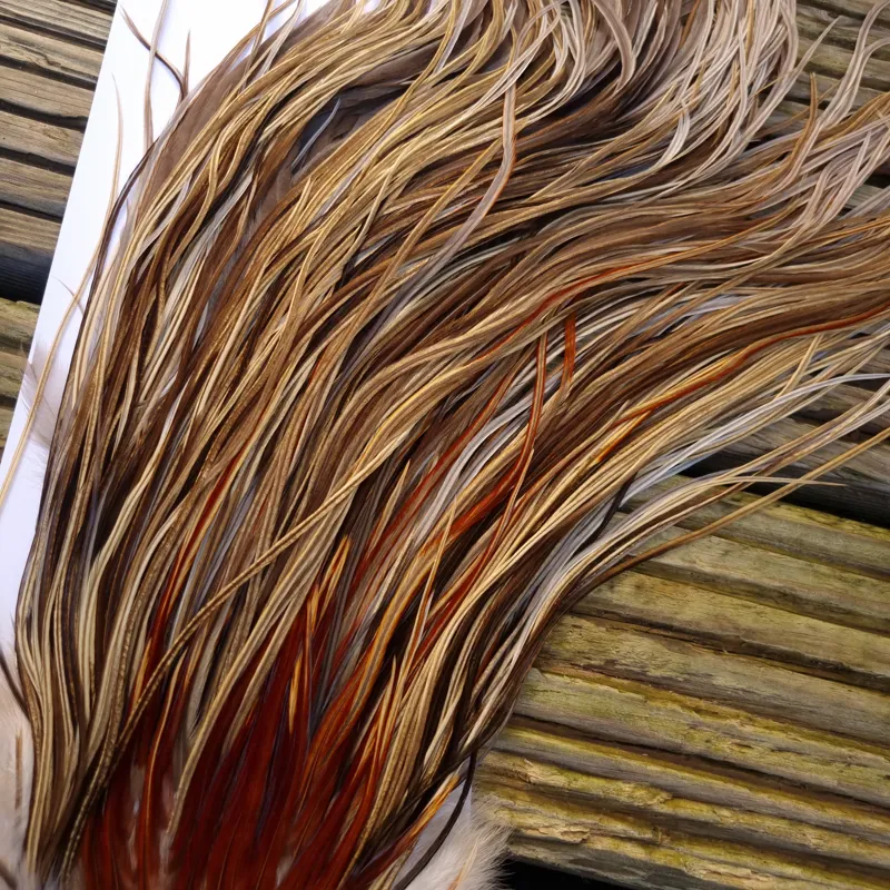 Whiting Heritage Hackles Rooster Saddle in Mixed Colours A Champagne Badger/Speckled Champagne Badger/Rusty Dun/Speckled Natural Dun Approx Tying Sizes odd 10 stuffed with12/14 and the odd 16