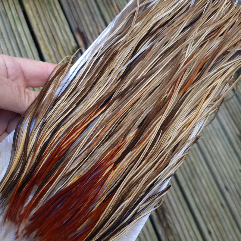 Whiting Heritage Hackles Rooster Saddle in Mixed Colours A Champagne Badger/Speckled Champagne Badger/Rusty Dun/Speckled Natural Dun Approx Tying Sizes odd 10 stuffed with12/14 and the odd 16-3