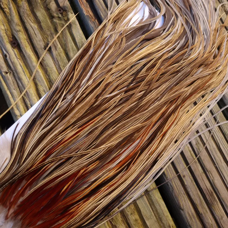 Whiting Heritage Hackles Rooster Saddle in Mixed Colours A Champagne Badger/Speckled Champagne Badger/Rusty Dun/Speckled Natural Dun Approx Tying Sizes odd 10 stuffed with12/14 and the odd 16-1