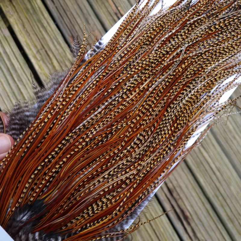 Whiting Bronze Grade Midge Rooster Saddle in CREE A Approx Tying Sizes 14/16/18 you might find a few going smaller-1