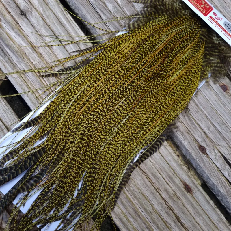 Whiting Pro-Grade Midge Rooster Saddle in Grizzly dyed Olive and Splashed with OLIVE Badger A Approx. tying sizes  few14 and stuffed with 16 18 20 22 and a few smaller-2