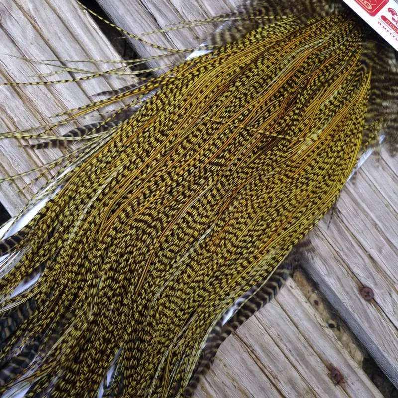Whiting Pro-Grade Midge Rooster Saddle in Grizzly dyed Olive and Splashed with OLIVE Badger A Approx. tying sizes  few14 and stuffed with 16 18 20 22 and a few smaller-5