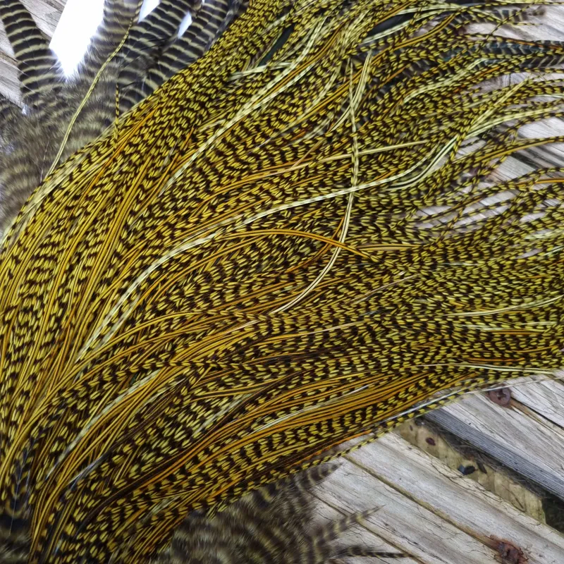 Whiting Pro-Grade Midge Rooster Saddle in Grizzly dyed Olive and Splashed with OLIVE Badger A Approx. tying sizes  few14 and stuffed with 16 18 20 22 and a few smaller-6