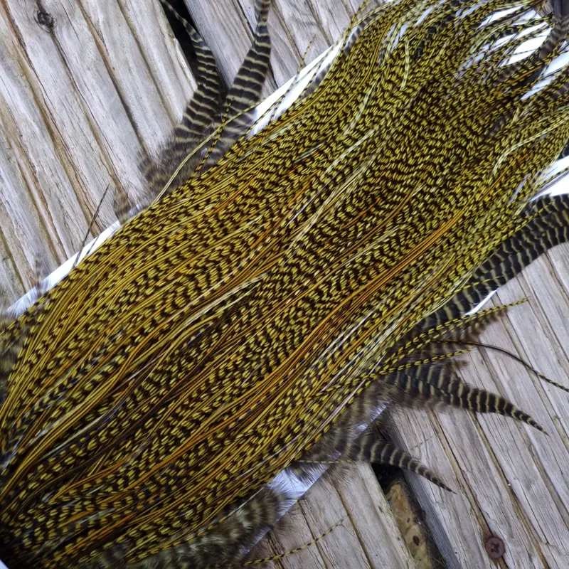 Whiting Pro-Grade Midge Rooster Saddle in Grizzly dyed Olive and Splashed with OLIVE Badger A Approx. tying sizes  few14 and stuffed with 16 18 20 22 and a few smaller-8