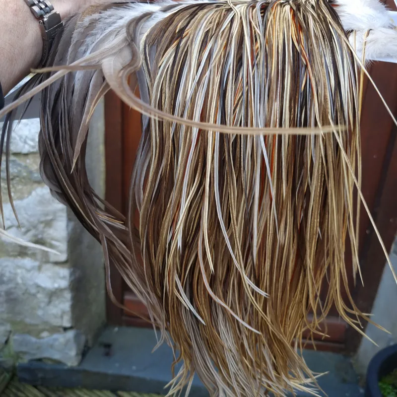 Whiting Heritage Hackles Rooster Saddle in Mixed Colours A Champagne Badger/Speckled Champagne Badger/Rusty Dun/Speckled Natural Dun Approx Tying Sizes odd 10 stuffed with12/14 and the odd 16-4