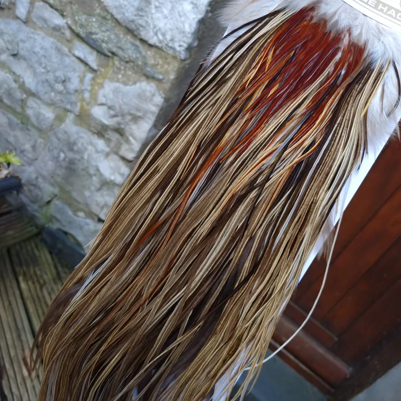 Whiting Heritage Hackles Rooster Saddle in Mixed Colours A Champagne Badger/Speckled Champagne Badger/Rusty Dun/Speckled Natural Dun Approx Tying Sizes odd 10 stuffed with12/14 and the odd 16-12