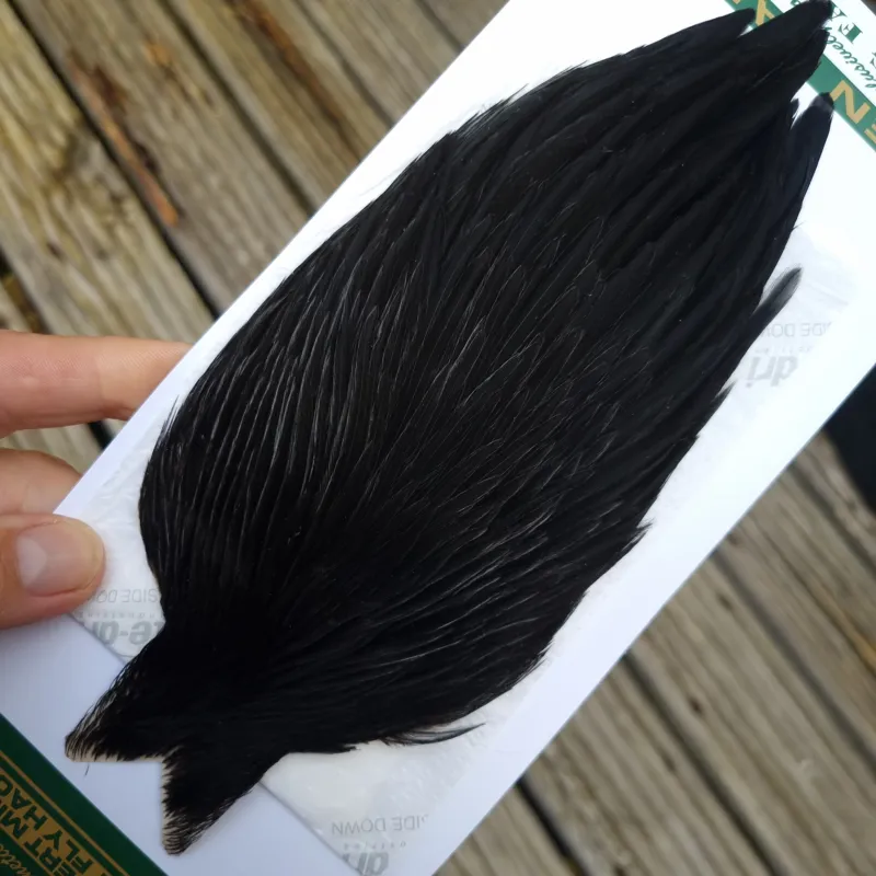 Whiting Hebert Miner Hen Cape in Natural Black A-2
