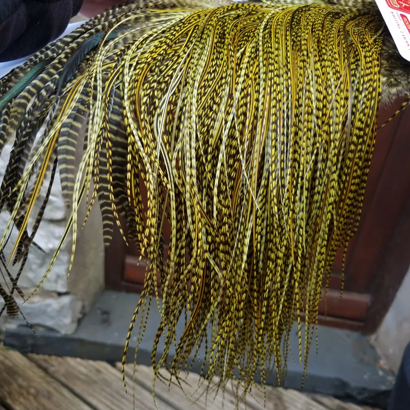 Whiting Pro-Grade Midge Rooster Saddle in Grizzly dyed Olive and Splashed with OLIVE Badger A Approx. tying sizes  few14 and stuffed with 16 18 20 22 and a few smaller-7