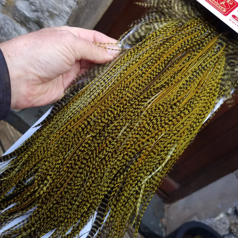 Whiting Pro-Grade Midge Rooster Saddle in Grizzly Dyed Olive B Splashed with OLIVE BADGER Hackles Approx tying size 14/16/18/20/22/24 AND OUT OF SIGHT-1