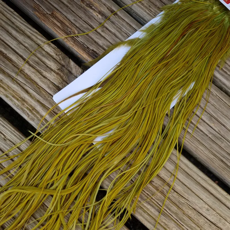 Whiting Pro-Grade Midge Rooster Saddle in White Dyed Olive A Light Olive/ Medium Olive/ Rusty Olive and Yellow Olive  Approx Tying Size Few 12 in the middle and stuffed with 14/16 and a few going smaller-1