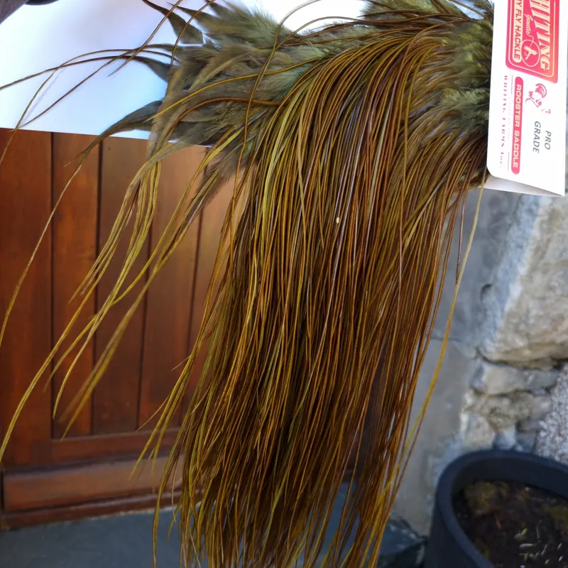 Whiting Pro-Grade Midge Rooster Saddle in White Dyed Dark Olive A Approx Tying Size Few 14 and stuffed with 16/18/20 and a few going smaller-5