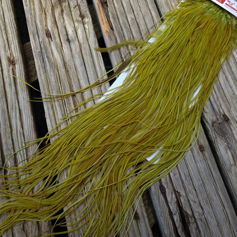 Whiting Pro-Grade Midge Rooster Saddle in White Dyed Olive A Light Olive/ Medium Olive/ Rusty Olive and Yellow Olive  Approx Tying Size Few 12 in the middle and stuffed with 14/16 and a few going smaller-3
