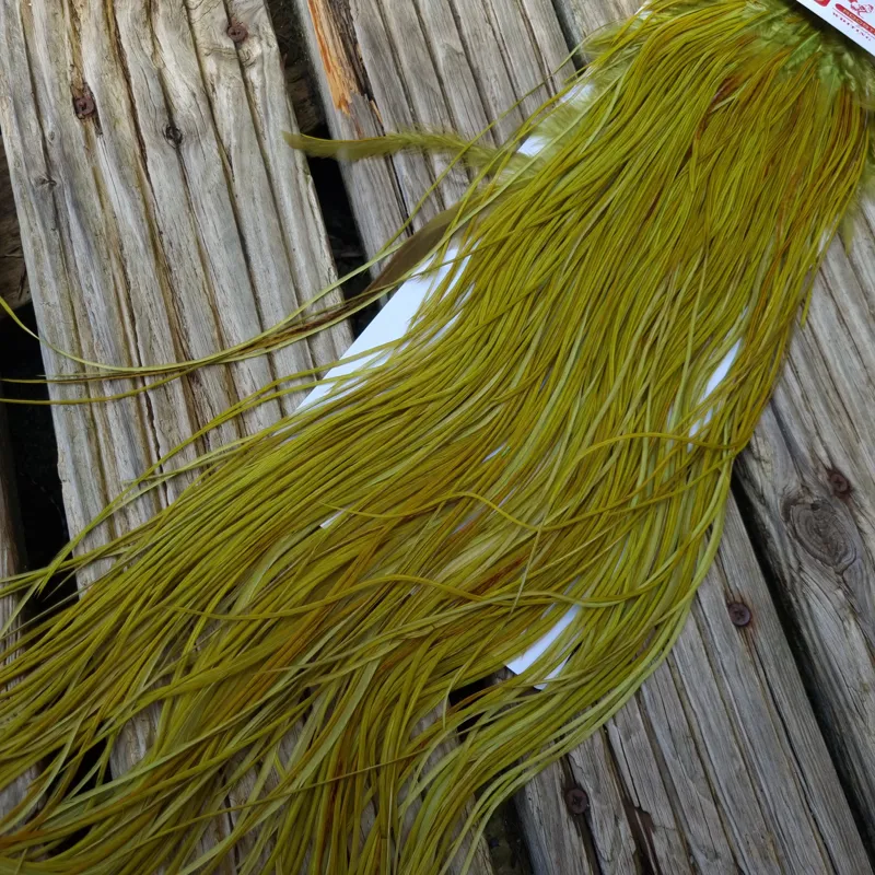Whiting Pro-Grade Midge Rooster Saddle in White Dyed Olive A Light Olive/ Medium Olive/ Rusty Olive and Yellow Olive  Approx Tying Size Few 12 in the middle and stuffed with 14/16 and a few going smaller-4