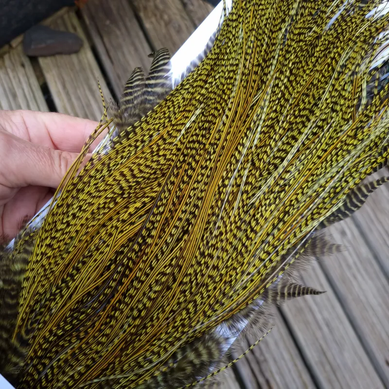 Whiting Pro-Grade Midge Rooster Saddle in Grizzly dyed Olive and Splashed with OLIVE Badger A Approx. tying sizes  few14 and stuffed with 16 18 20 22 and a few smaller-3