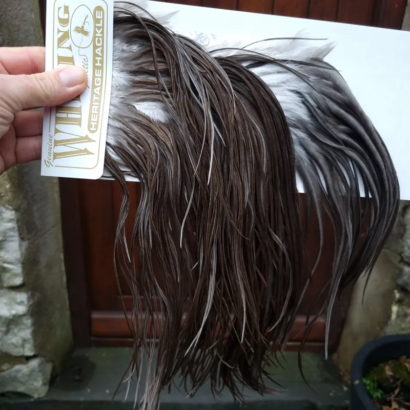 Whiting Heritage Hackles Rooster Saddle in Mixed Colours A Natural Dark Gray Dun/ Dark Blue Dun/ Iron Blue Dun Approx Tying Sizes 10/12/14 with the odd 16-4