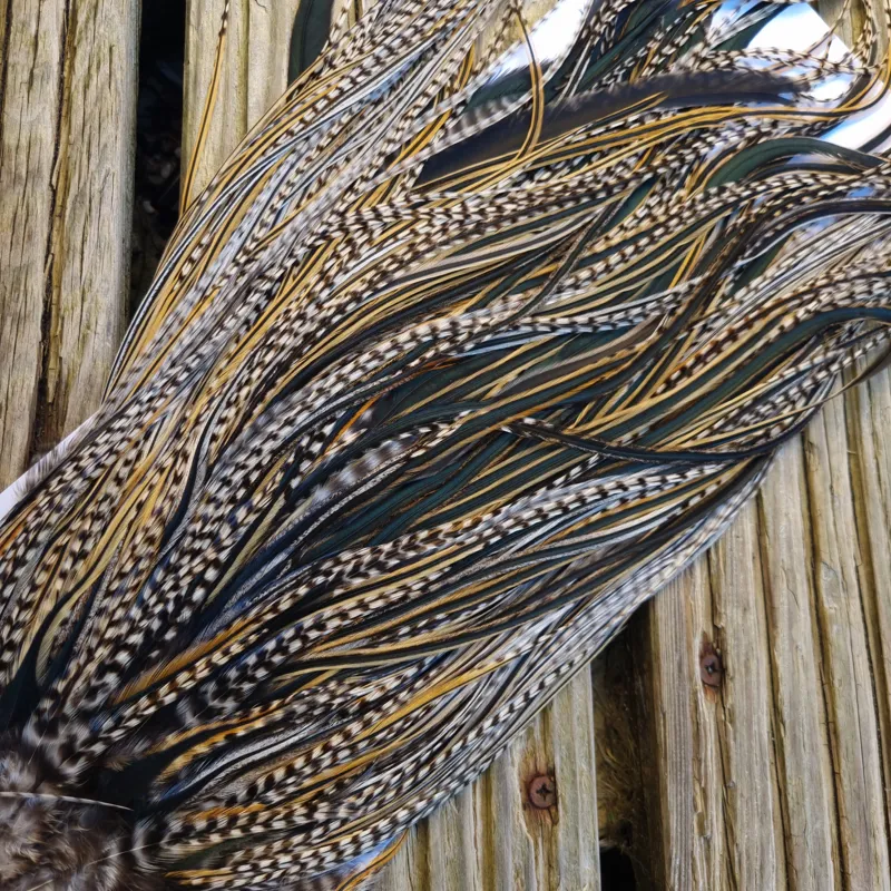 Whiting Hebert Miner Pro-Grade Dry Fly Rooster Saddle in Grizzly Variant A Grizzly/Golden Badger/Silver Badger/ Speckled Badger Approx Tying Size 10/12/14 with a few 16