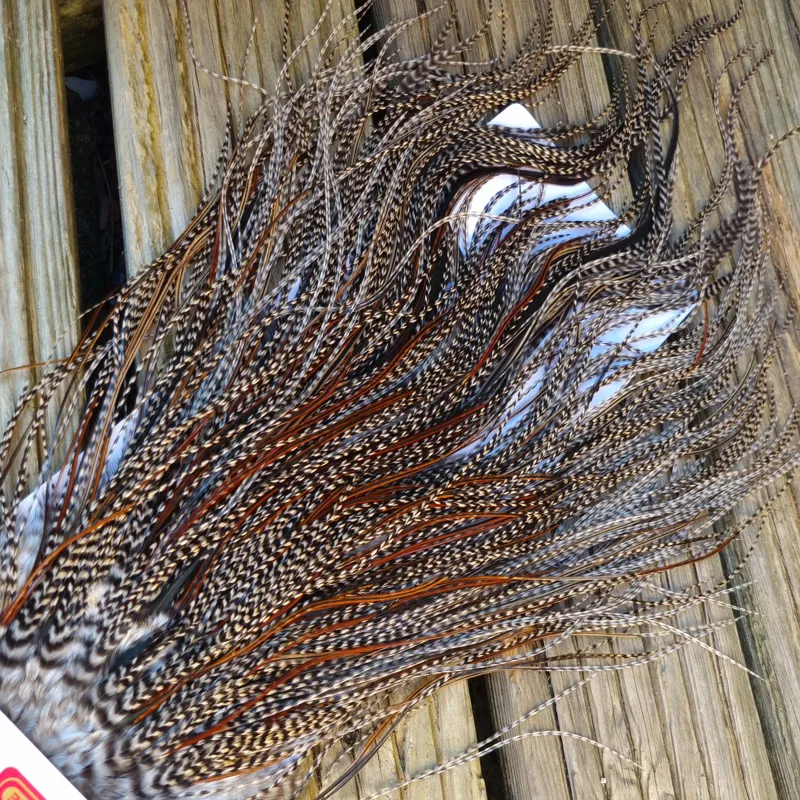 Whiting Pro-Grade Midge Rooster Saddle in Grizzly Variant A in Classic GRIZZLY Splashed with Furnace Hackles Approx Tying Sizes  few 12's and stuffed with 14/16 and the odd one going smaller-3