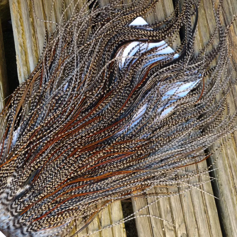 Whiting Pro-Grade Midge Rooster Saddle in Grizzly Variant A in Classic GRIZZLY Splashed with Furnace Hackles Approx Tying Sizes  few 12's and stuffed with 14/16 and the odd one going smaller-1