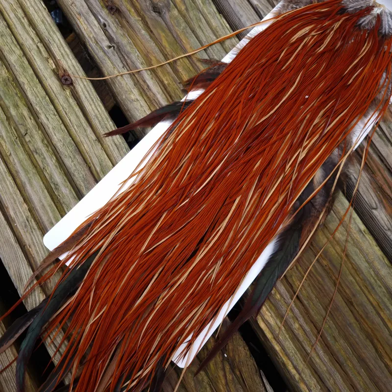 Whiting Heritage Hackles Rooster Saddle in Mixed Colours A Medium to Dark Red Game Approx Tying Sizes 12/14/16/18-4