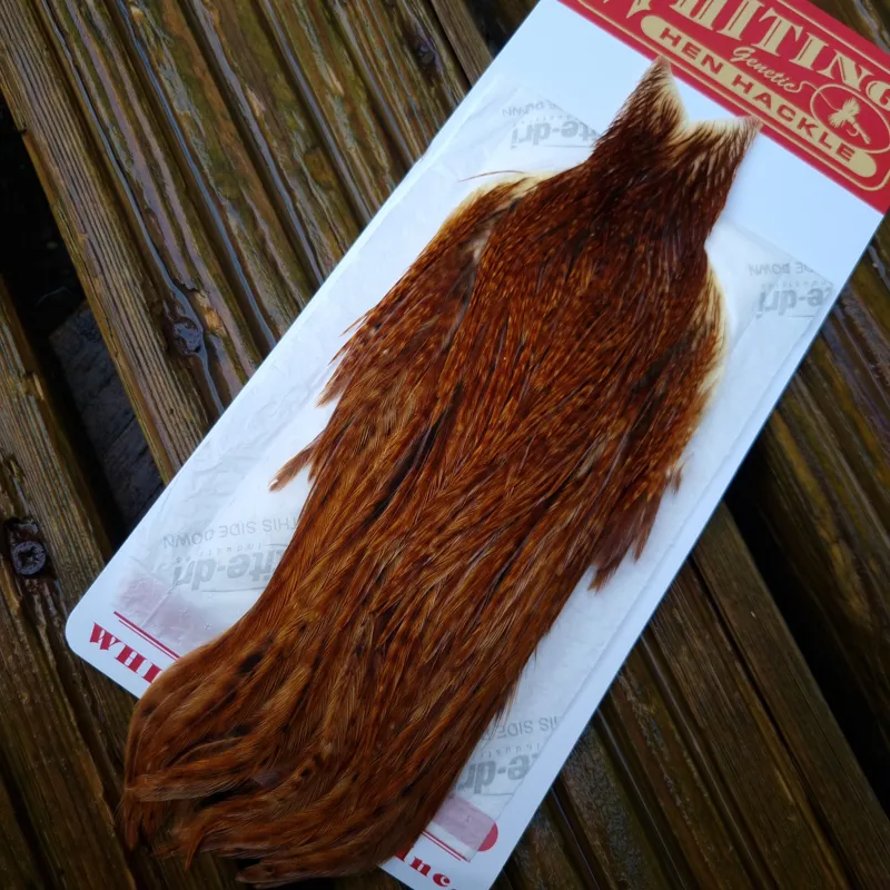 Whiting Hen Cape in Barred Dark Ginger A
