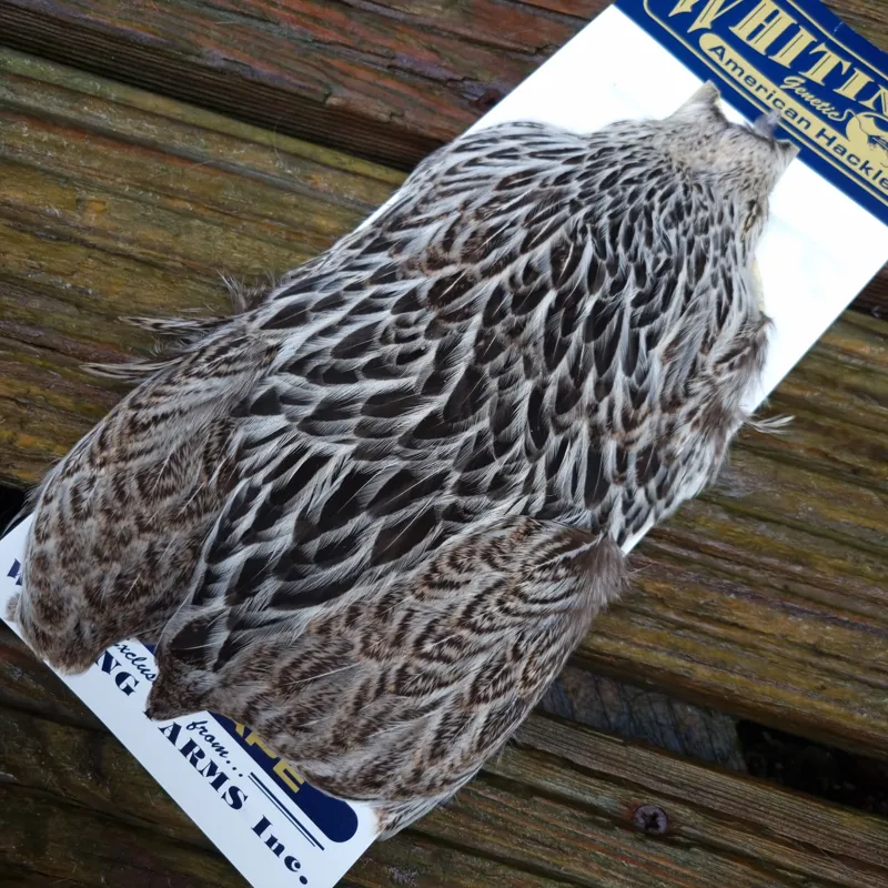 Whiting American Hen Cape in Natural Silver Badger