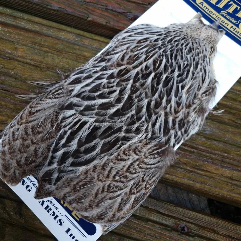 Whiting American Hen Cape in Natural Silver Badger-2