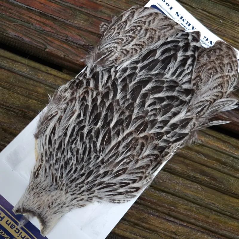 Whiting American Hen Cape in Natural Silver Badger-1