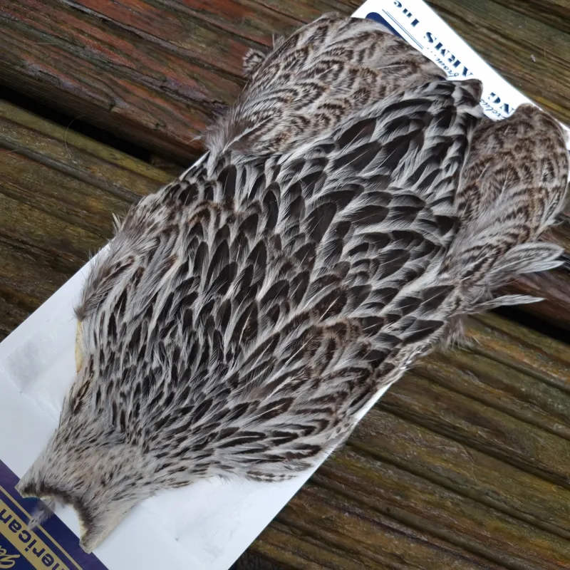 Whiting American Hen Cape in Natural Silver Badger-3