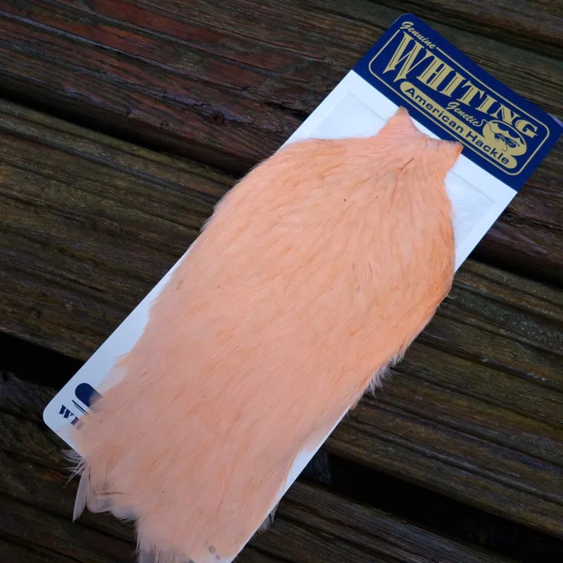 Whiting American Hen Cape in Salmon-1