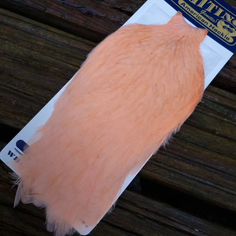 Whiting American Hen Cape in Salmon