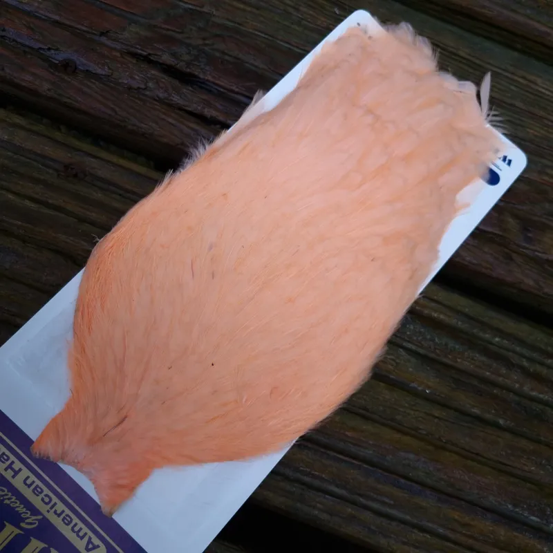 Whiting American Hen Cape in Salmon-4