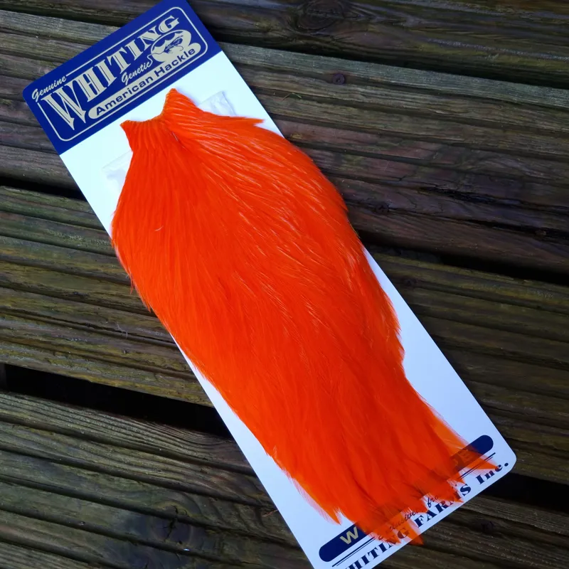 Whiting American Rooster Cape in Orange-3