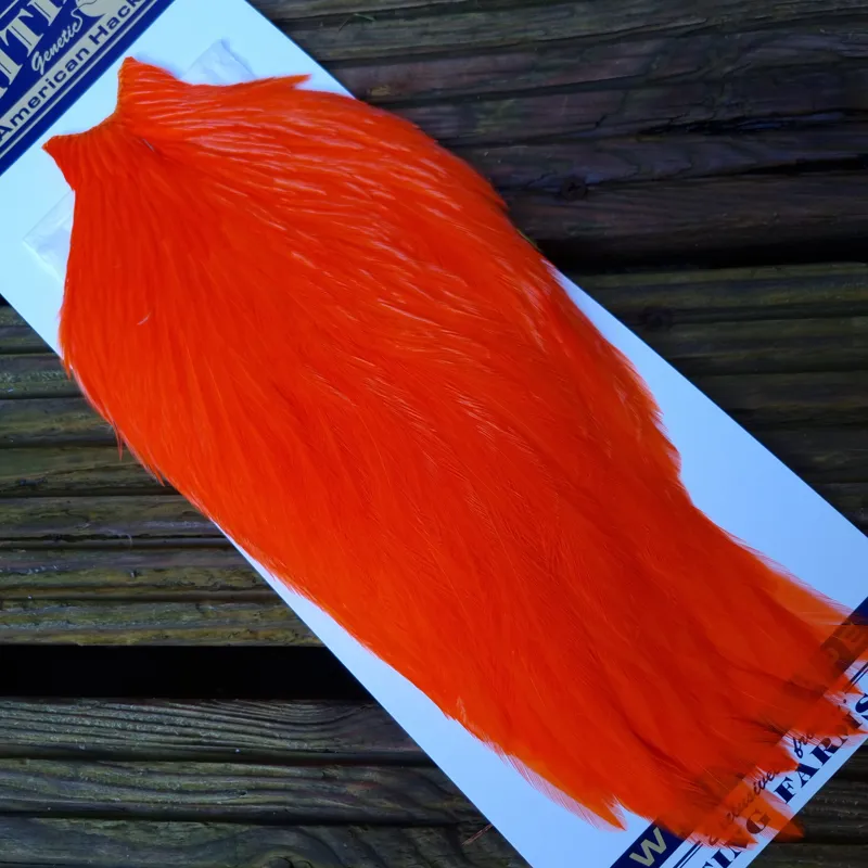 Whiting American Rooster Cape in Orange-4