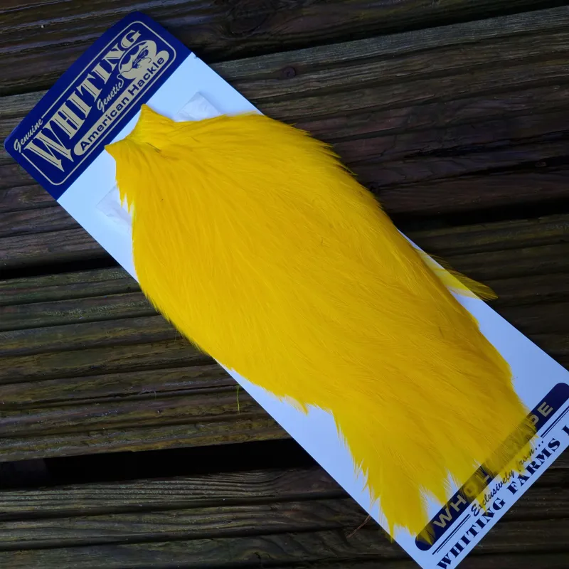 Whiting American Rooster Cape in  Yellow-2